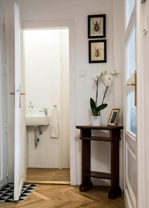 Gorgeous Flat Right Near The City Center Budapest Ngoại thất bức ảnh